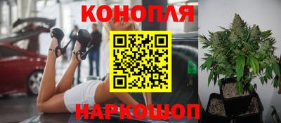 2c-b Камышлов