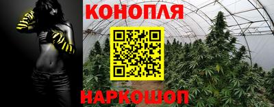 индика Кандалакша