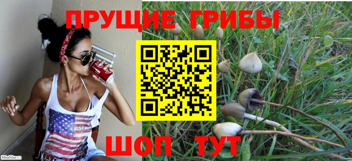 Псилоцибиновые грибы мицелий Кызыл