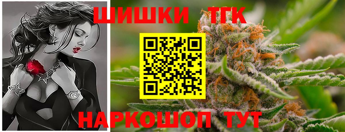 Конопля сатива Кызыл
